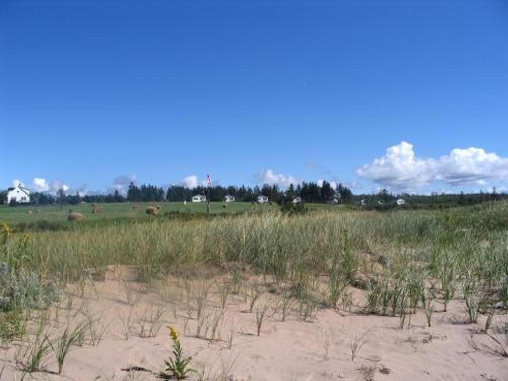 Sea'Scape Cottages Bayfield Extérieur photo